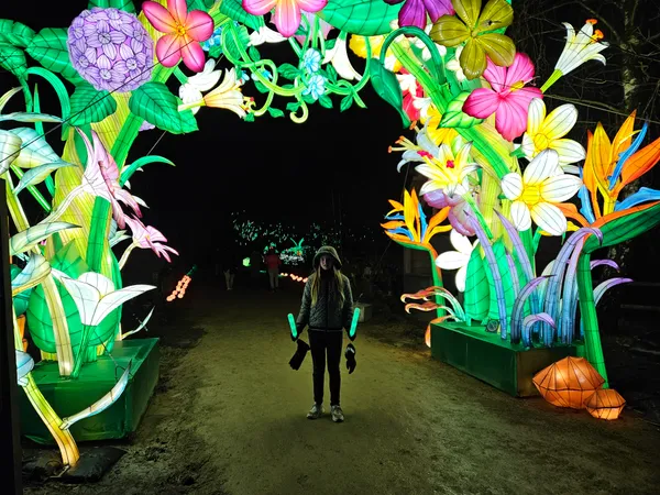 Beleef de magie van Light Safari Beekse Bergen