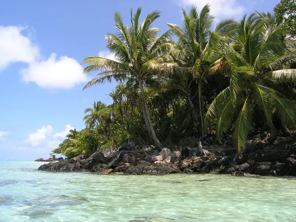 Panama met kinderen