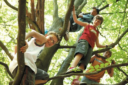 Ardennen Camping Bertrix