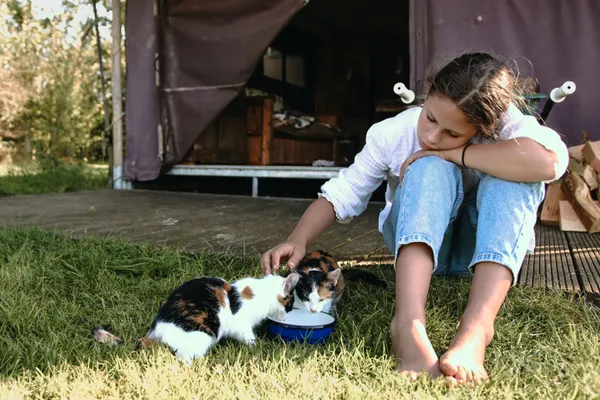 Welke dieren vind je bij de boerderijen van BoerenBed?