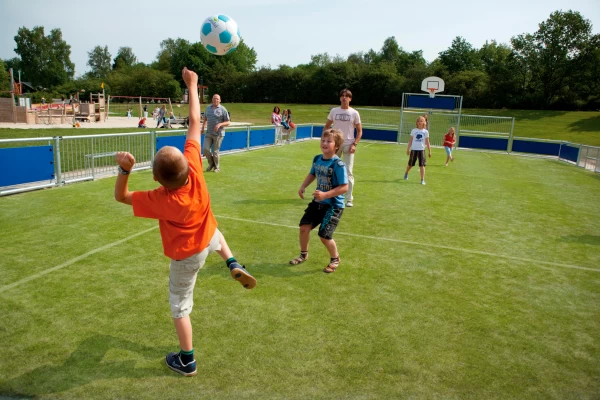 land-van-bartje (5).jpg