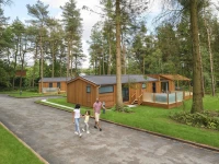 recently watched image