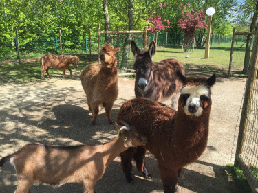 Campanile Val de France (voorheen Kyriad Hotel)