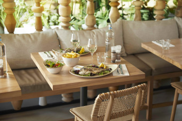 Gedekte tafel met een smakelijk visgerecht en frietjes op het terras van restaurant Labadi Beekse Bergen