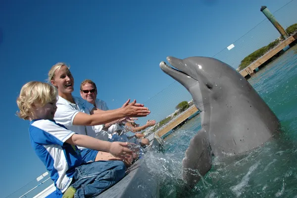 Rondreis Miami & The Keys