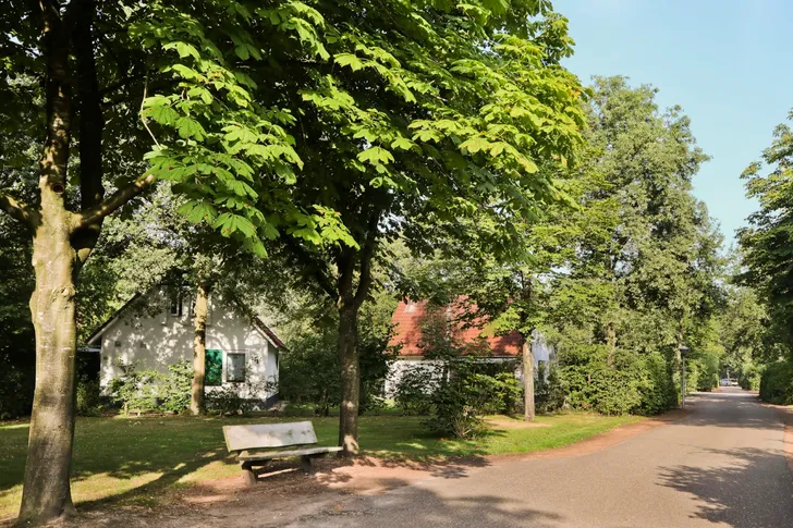 Leuke uitjes in de omgeving