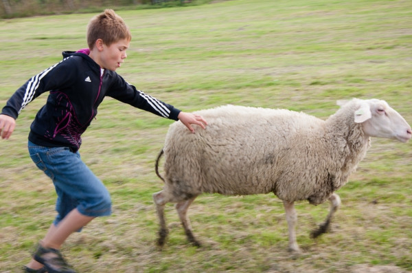 BoerenBed De Zeekraal