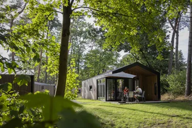 Roompot Bospark 't Wolfsven 