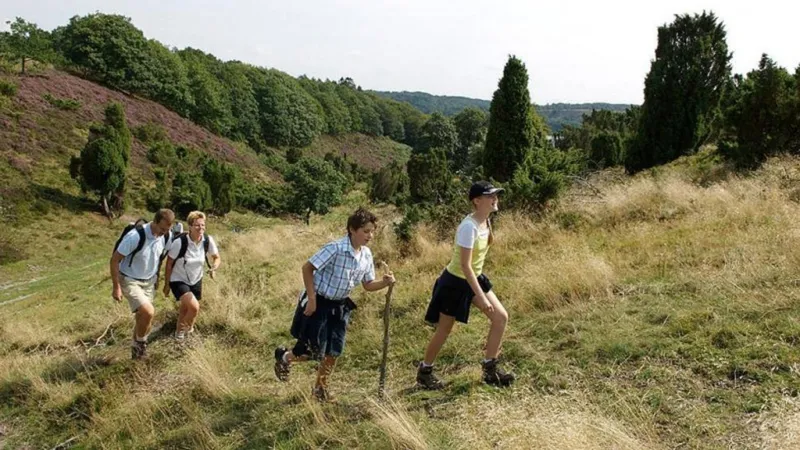 Bryrup Camping