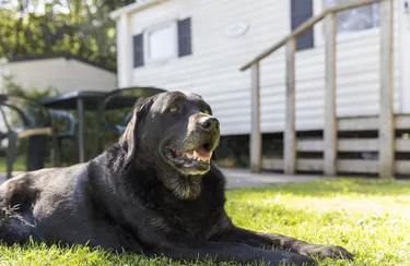 recreatiepark-de-berckt (2).jpg