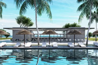 paloma-finesse (6).jpg