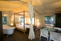 recently watched image