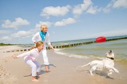 Bungalowpark aan zee met hond