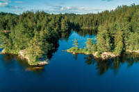 recently watched image