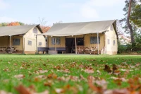 recently watched image