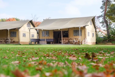 Herfstvakantie bij Kampeerdorp de Zandstuve: griezelen, spelen & genieten! 