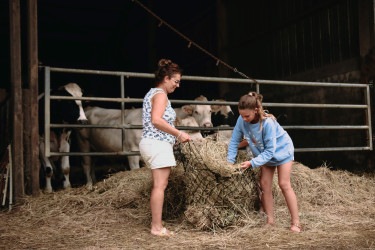BoerenBed Fermette des Trois Tilleuls