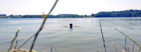 Top 10 Landal GreenParks met WAUW-factor