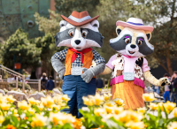 recently watched image