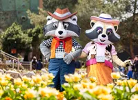 recently watched image