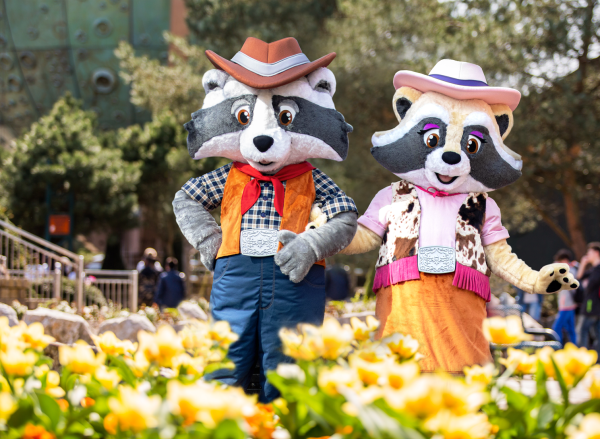 Attractie- & Vakantiepark Slagharen