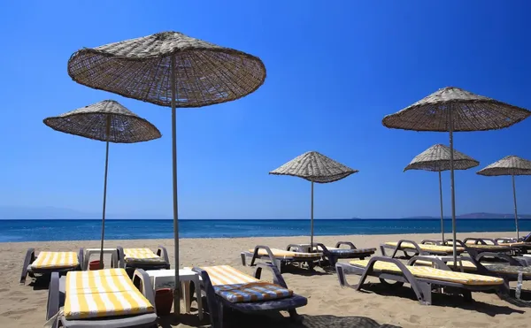 Cactus Hotel Club Paradise