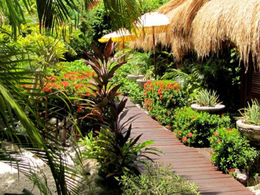 Manchebo Beach Resort & Spa 