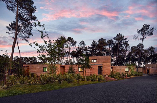 Les Landes de Gascogne