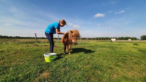 Pony vakantie
