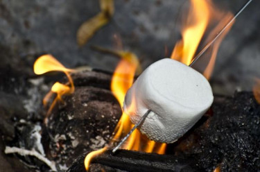 Rondreis Noorwegen met kinderen