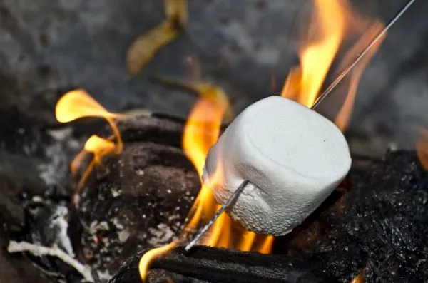 Rondreis Noorwegen met kinderen