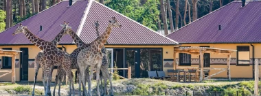 Bijzondere glamping logeeradresjes