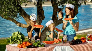 Sparky Hotel Vasia Resort Kreta 