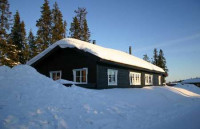 recently watched image