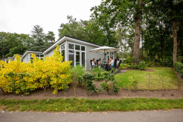 Hoofdafbeelding herfst.jpg