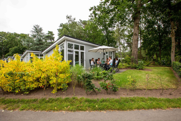 Hoofdafbeelding herfst.jpg