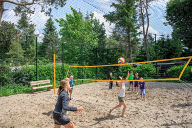 preprocessed (6).jpg