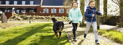 Vakantie met hond in Nederland