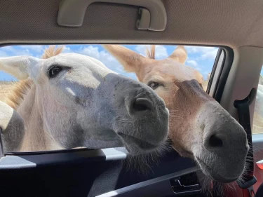 Verre vakanties bij TUI