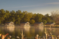 recently watched image