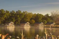 recently watched image