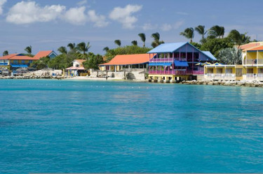 Divi Flamingo Beach Resort