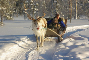 Winter Adventure Ylläs