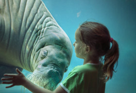 Met korting naar het Dolfinarium in de voorjaarsvakantie