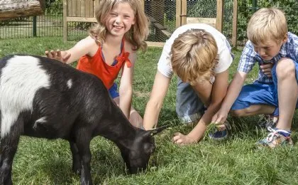 Kinderactiviteiten