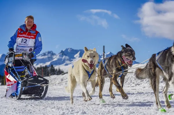Resort Les Portes du Grand Massif 