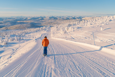 Scandinavië
