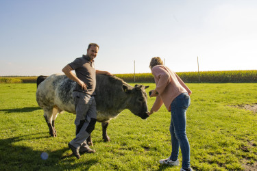 BoerenBed De Brabantse Hei