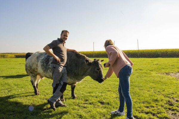 BoerenBed De Brabantse Hei