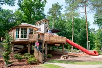 recently watched image